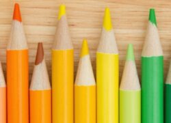 Lower School Parent Teacher Conferences