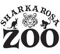 Sharkarosa Field Trip