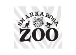 Sharkarosa Field Trip